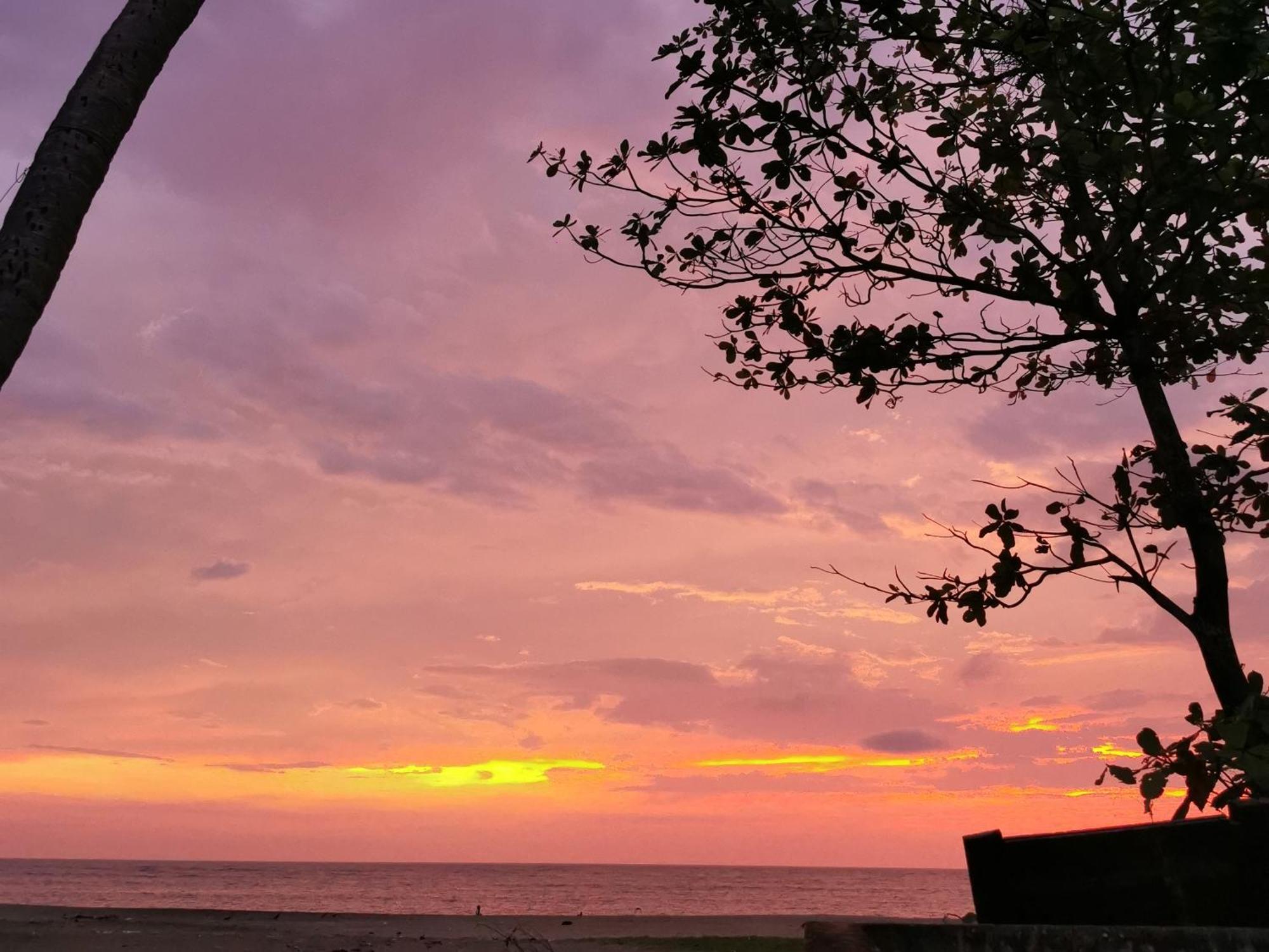 Jeehaa Homestay Alappuzha Exteriör bild