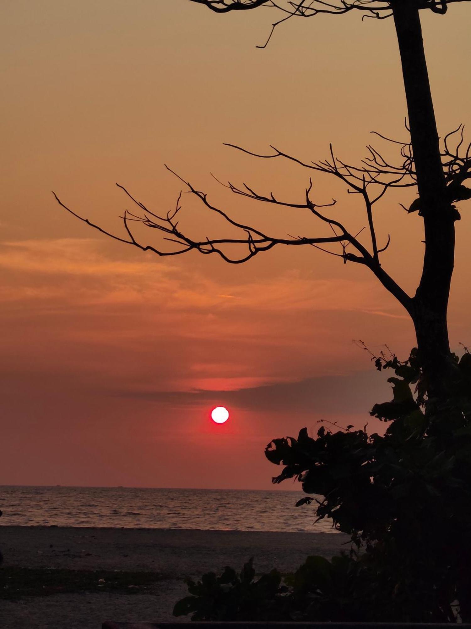 Jeehaa Homestay Alappuzha Exteriör bild
