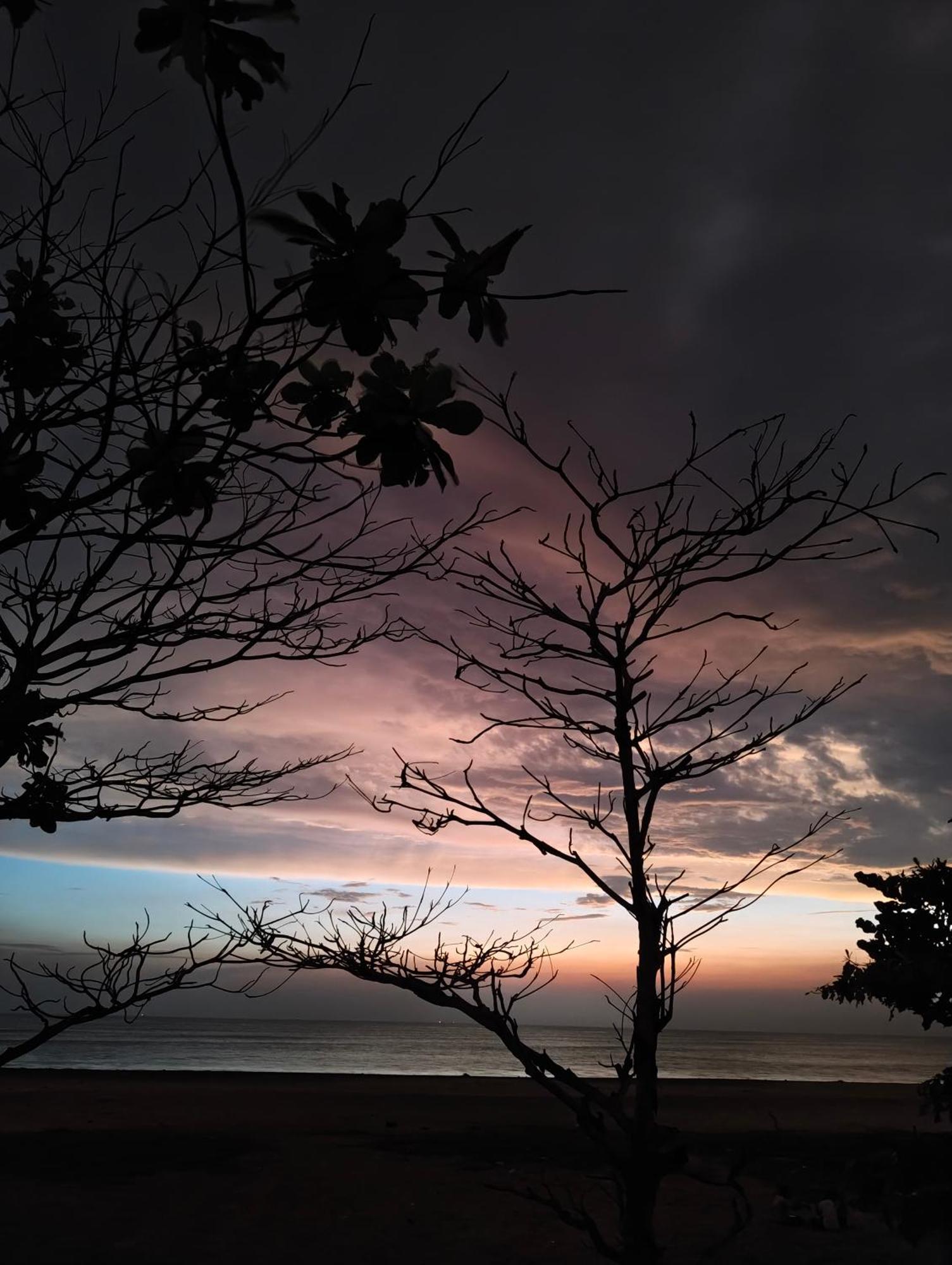 Jeehaa Homestay Alappuzha Exteriör bild